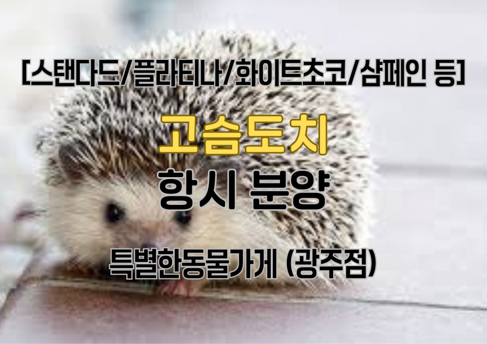 db6a13b9ea80637d8433c4caae555597_1741945154_4017.png